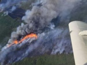 В Хангаласском районе 4-е сутки бушует крупный лесной пожар