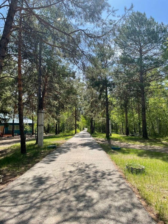 Днем 20 июля в Якутске ожидается дождь  