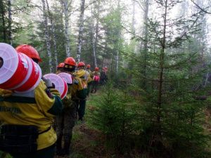 В Якутии будет сделан упор на повышении оперативности тушения лесных пожаров