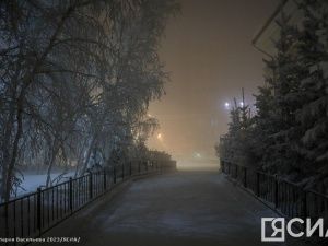 Пока в Якутии была ночь: заявление Трампа, извержение вулкана на Камчатке и крысиные мысли