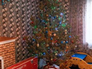 Айсен Николаев пообщался с енотом…и многодетной семьей!