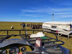 Оленевод с 28-летним стажем Роман Туприн: «Мы приобщаем детей к оленеводству с малого возраста»