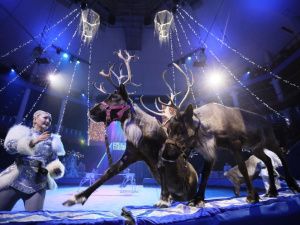 В Якутске прошла елка главы Якутии