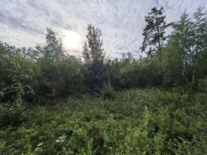 Пропавшего жителя села Тюбятцы нашли живым в Намском районе