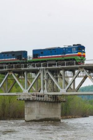 Важно: Пассажирские перевозки ЖДЯ: уверенный рост