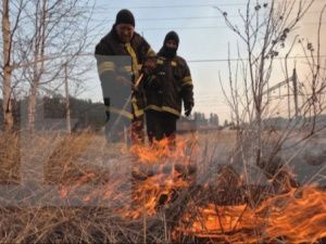 В Якутии пять лесных пожаров тушат почти 150 человек