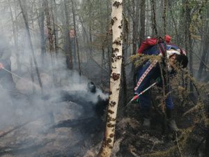 Работники культуры Якутии выезжают на тушение лесных пожаров 
