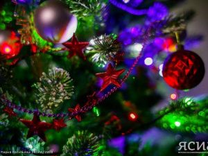 Сахамедиа разыгрывает новогоднюю елку среди подписчиков ЯСИА