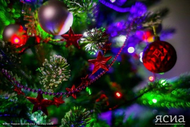 Сахамедиа разыгрывает новогоднюю елку среди подписчиков ЯСИА