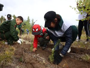 Сохраним лес: В пригороде Якутска высадили более тысячи саженцев деревьев