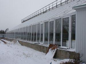 Директор «Ассоциации строителей АЯМ» Егор ФРОЛОВ: Квалифицированных специалистов на Севере не хватает!