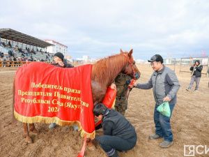 В Якутии состоялись конные скачки с общим призовым фондом 5,3 млн рублей