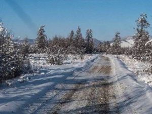 Финский журналист о домашнем карантине по-якутски