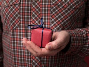 Житель Якутии вырастил из корма для попугаев куст конопли и подарил другу на день рождения наркотическое средство