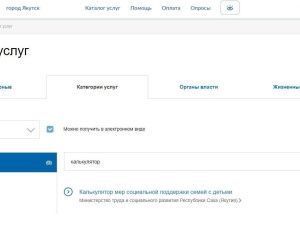 В Якутии семьи с детьми могут рассчитать меры поддержки с помощью специального сервиса