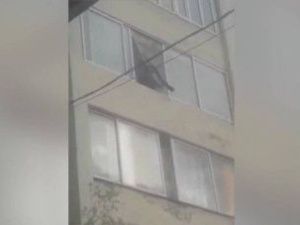 Стрелок с улицы Губина задержан