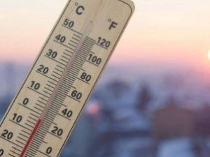 Ученые зафиксировали повышение годовой температуры в Якутии до 3,3 градуса за 50 лет