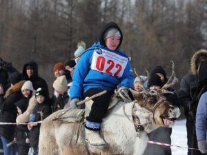 День оленевода отметили в селе Иенгра Якутии