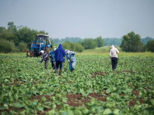 В Якутии среди предпринимателей и самозанятых проводят фотоконкурс