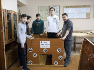 Школьники изготовили будку для пункта передержки животных
