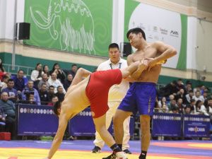 Борцы Тимур Николаев и Никита Софронов завоевали титулы абсолютных чемпионов турнира Ноговицыных