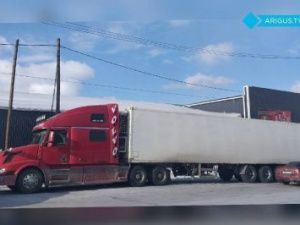 В Бурятии возбудили дело после прибытия из Якутии фуры с 45 бродячими собаками