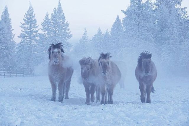 Самый холодный населённый пункт России