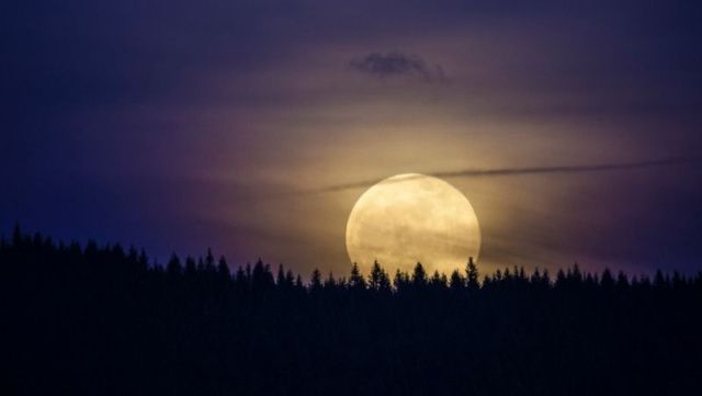 Гороскоп на 27 июня 2023 года: день для сотрудничества и тайных размышлений