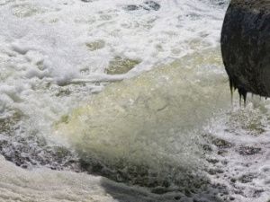 Суд обязал АО «Водоканал» возместить ущерб природе от сброса сточных вод