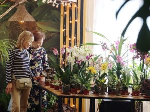 В ботаническом саду СВФУ открылась выставка-ярмарка редких орхидей