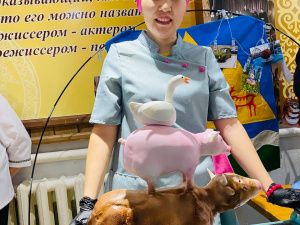 Кровяная колбаса, лошадиная голова, курочка-несушка: конкурс тортов провели в Амгинском районе