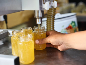 Хозяйство якутян Ионовых планирует стать племенным репродуктором республики по пчеловодству