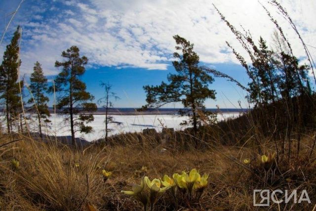 Места массового отдыха определили в Якутске
