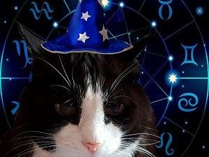 Ежедневный гороскоп. Четверг 1 ноября 2018