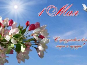 Окружная администрация города Якутска сообщает об отмене первомайского парада-шествия