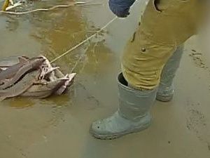 Якутянин предстанет перед судом за вылов ценнейшей рыбы