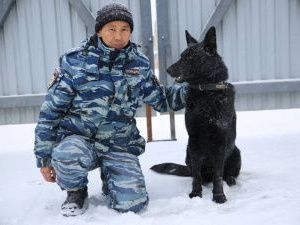 В Якутске служебная собака помогла найти угонщика автомобиля