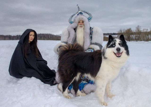 Якутская лайка завоевала звание «Гордость России» на международной выставке собак «Евразия-2019»