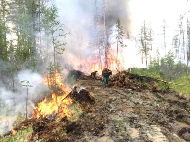 В Хангаласском улусе действуют 2 лесных пожара