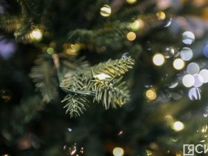 Госдума отклонила проект о нерабочем 31 декабря