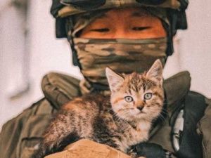 Фотофакт: Голодный кот прибился к солдату из Якутии