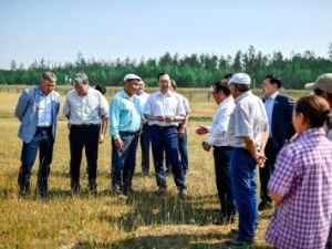 “Это были счастливые времена”. Айсен Николаев о том, что для него значил сенокос в детстве и юношестве