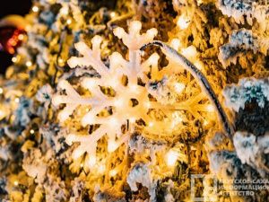 «Зима начинается с Якутии»: программа праздничных мероприятий на 1 декабря в Якутске