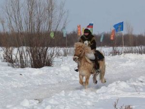 Команда Немюгюнского наслега представит Хангаласский улус на республиканском Дне коневода-табунщика
