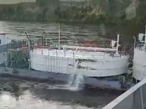 ПАО "ЛОРП" дошло до ручки?