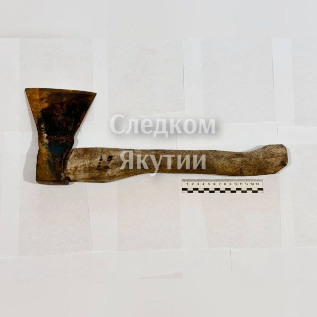 В Нюрбинском улусе мужчина во время бытового конфликта убил топором оппонента: Вынесен приговор