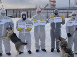 В Якутске продолжается отлов безнадзорных животных