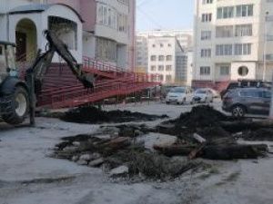 Мэрия: более 400 пней выкорчевали из-под тротуаров и во дворах в Якутске 