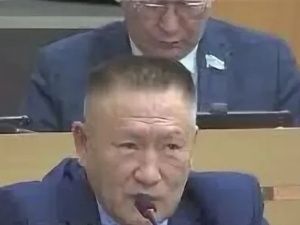 А кто же голосовал в поддержку опального депутата Иванова?