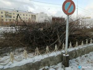 Фото дня. В Якутске на проспекте Ленина вырубили деревья